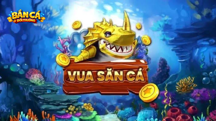Vua săn cá có gì hấp dẫn?